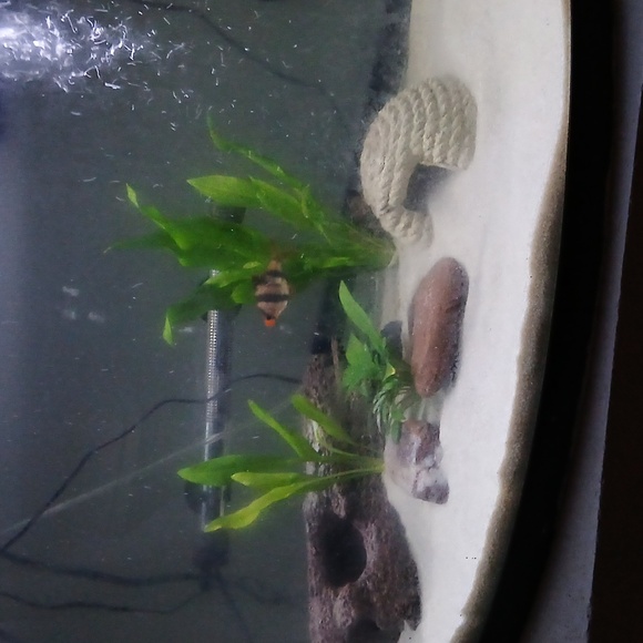 Meet the Posher/About the Seller - Picture 2 of 9